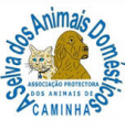 /album/galeria-de-fotos-pagina-inicial/sem-nome-png/
